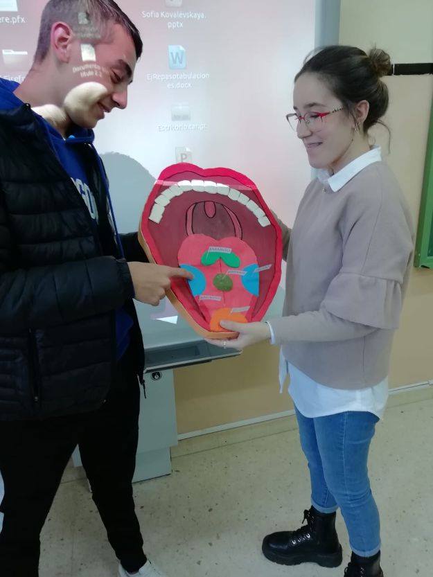 Los órganos de los sentidos